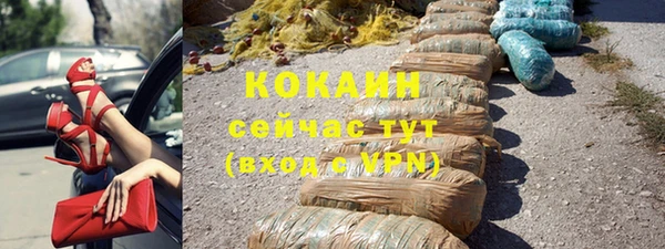 PSILOCYBIN Кулебаки