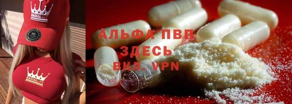 PSILOCYBIN Кулебаки