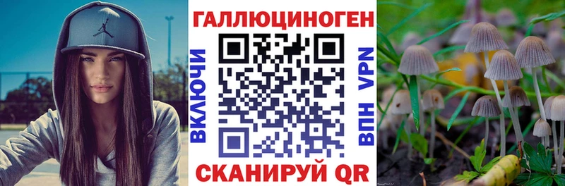 Галлюциногенные грибы Psilocybine cubensis  Дербент 
