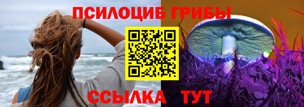 Галлюциногенные грибы мицелий  Галлюциногенные грибы мухоморы  Дербент 