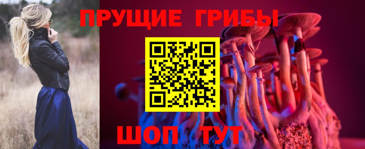 Дербент  Псилоцибиновые грибы прущие грибы  Вход с VPN 